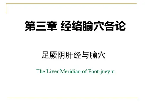 足厥阴肝经