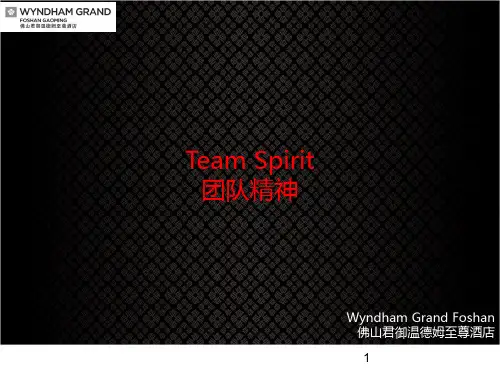 Team-spirit团队精神 PPT课件
