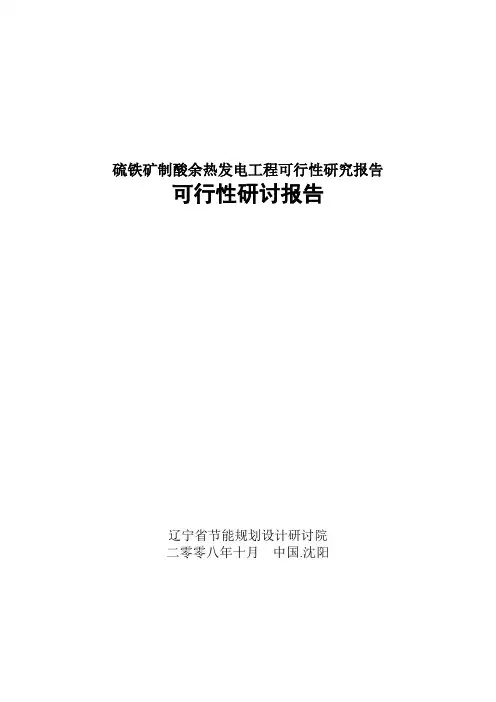 硫铁矿制酸余热发电工程可行性研究报告