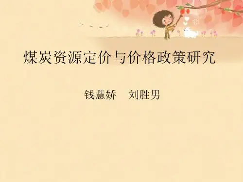 煤炭资源定价与价格政策探讨(ppt 31页)