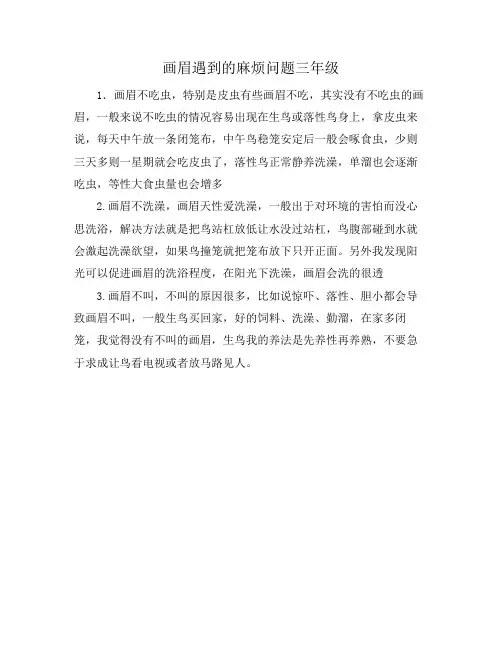 画眉遇到的麻烦问题三年级