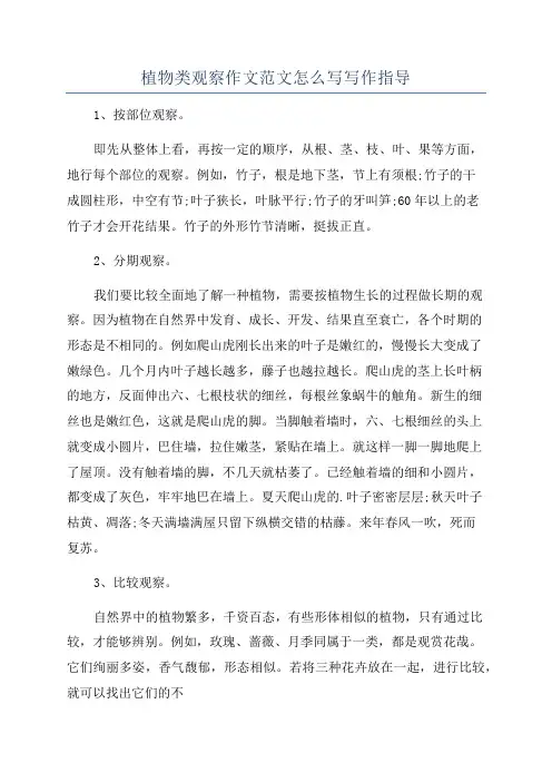 植物类观察作文范文怎么写写作指导