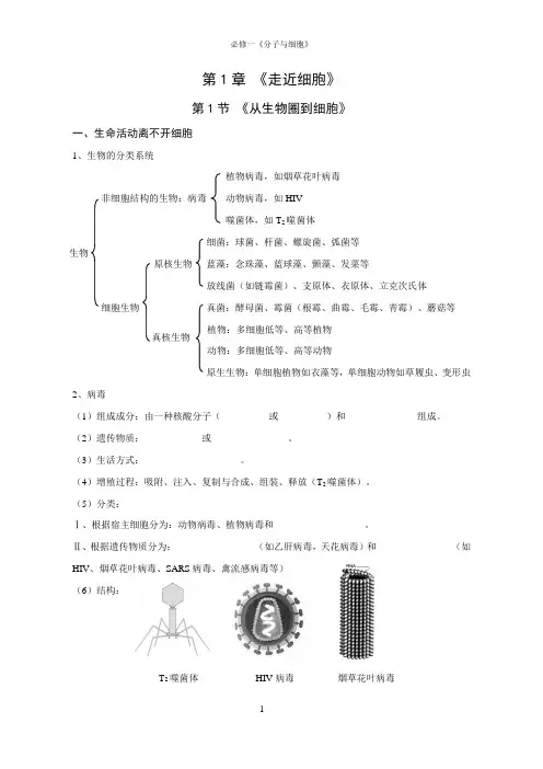 高中生物必修一《分子与细胞》知识总结