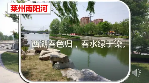 《第一节 藻类植物》PPT课件(部级优课)