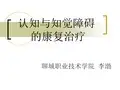 认知与知觉障碍的康复治疗