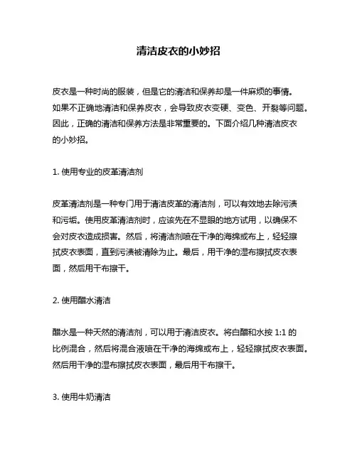 清洁皮衣的小妙招