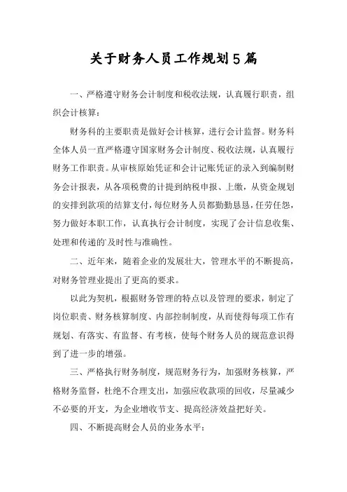 关于财务人员工作规划5篇