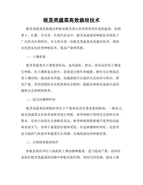 根茎类蔬菜高效栽培技术