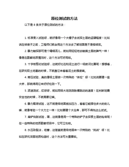 原位测试的方法