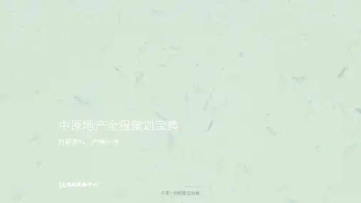 中原+全程策划宝典课件