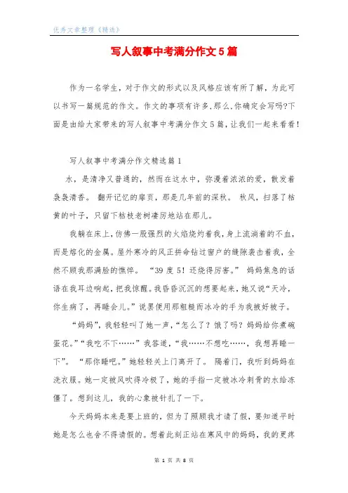 写人叙事中考满分作文5篇