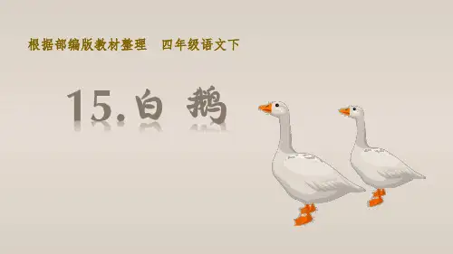 部编版语文四年级下册15白鹅课件(24张PPT)