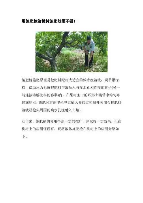 用施肥枪给桃树施肥效果不错