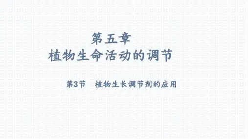 【课件】 植物生长调节剂的应用课件2022-2023学年高二上学期生物人教版选择性必修1