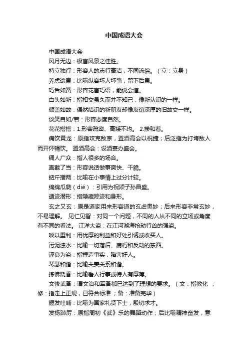 中国成语大会
