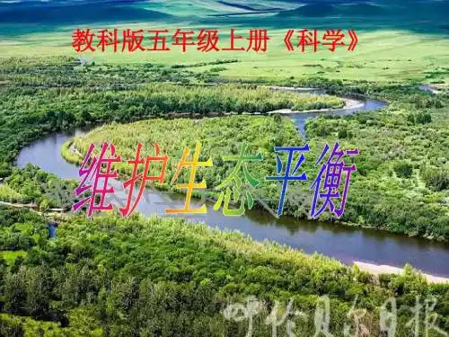 教科版科学五年级上册《维护生态平衡》PPT课件