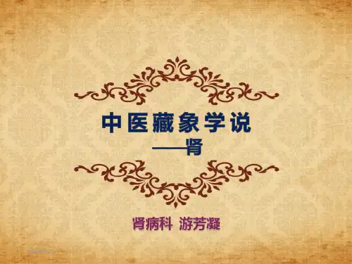 中医基础理论藏象肾 PPT课件