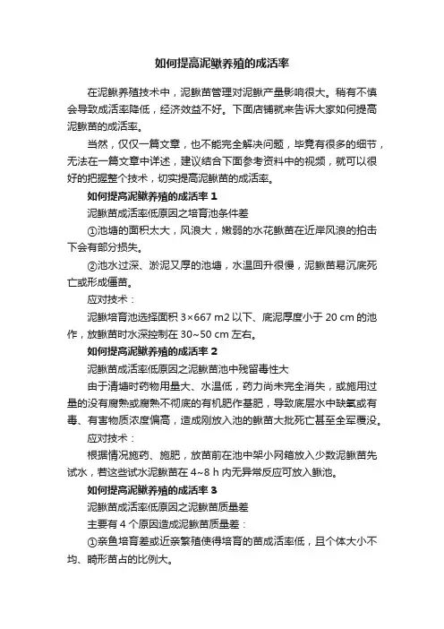 如何提高泥鳅养殖的成活率