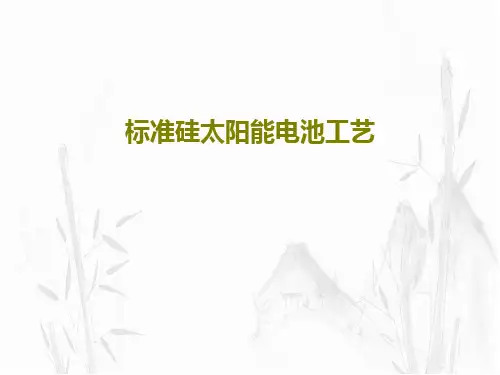 标准硅太阳能电池工艺共79页文档
