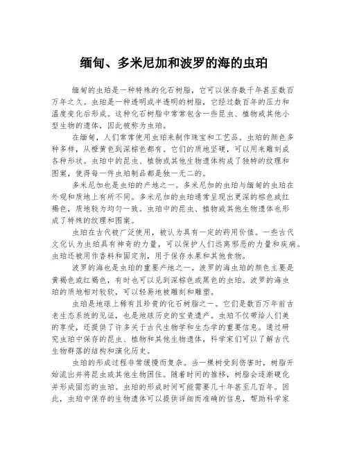 缅甸、多米尼加和波罗的海的虫珀