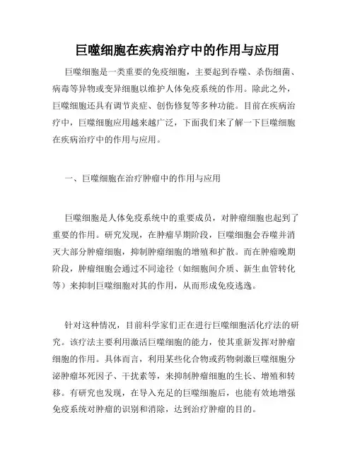 巨噬细胞在疾病治疗中的作用与应用