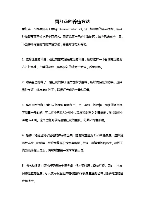 番红花的养殖方法