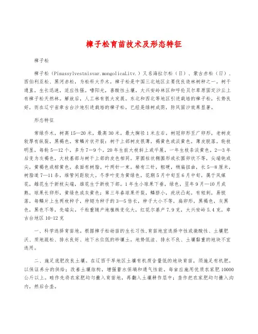 樟子松育苗技术及形态特征