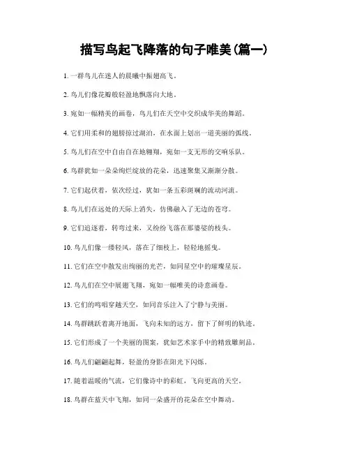 描写鸟起飞降落的句子唯美(精选2篇)