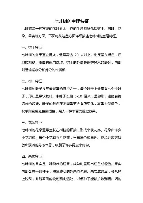 七叶树的生理特征