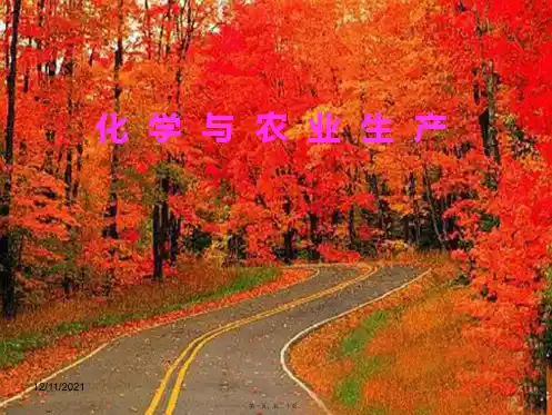 九年级化学下册第十一单元第三节化学与农业生产1