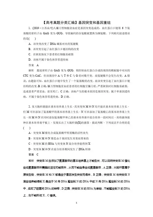 【高考真题分类汇编】基因突变和基因重组