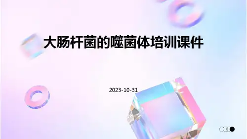 大肠杆菌的噬菌体培训课件