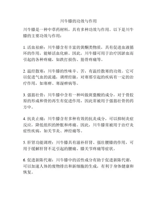 川牛膝的功效与作用