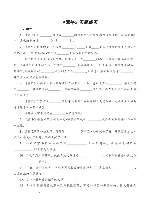 《童年》(练习)-中考语文必备名著知识点梳理与精讲(全国通用)解析版
