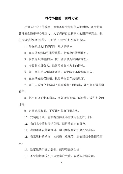 对付小偷的一百种方法