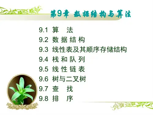大学计算机基础(第九章)