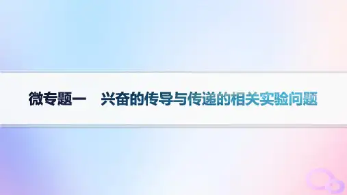 高中生物第2章神经调节微专题一兴奋的传导与传递的相关实验问题新人教版选择性必修1