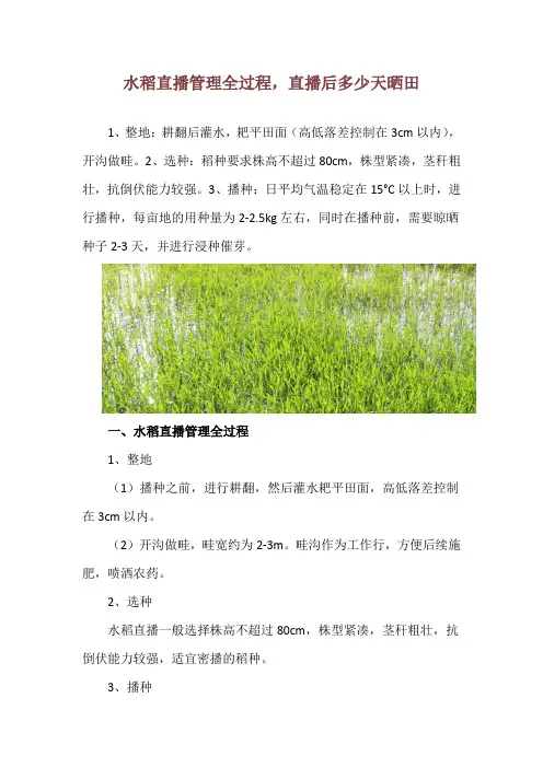 水稻直播管理全过程,直播后多少天晒田