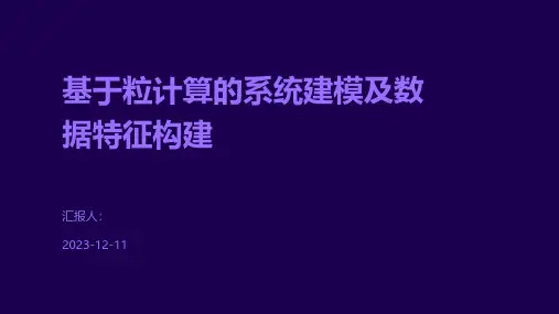 基于粒计算的系统建模及数据特征构建
