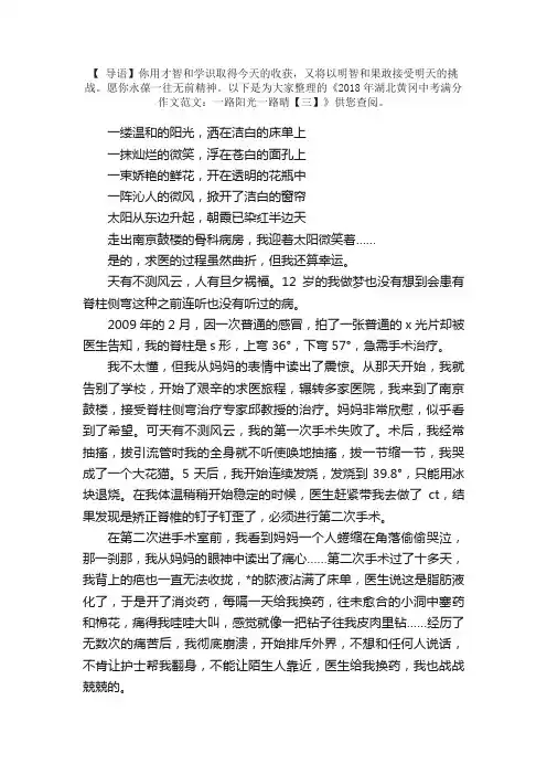 2018年湖北黄冈中考满分作文范文：一路阳光一路晴【三】