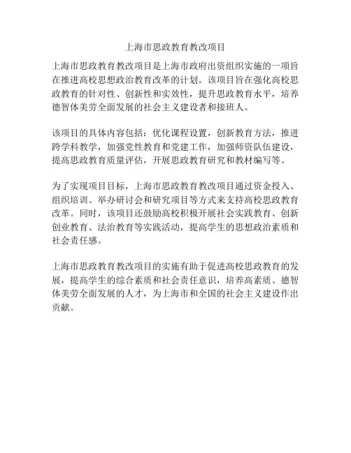 上海市思政教育教改项目