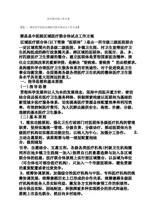 活动方案之医疗联合体工作方案