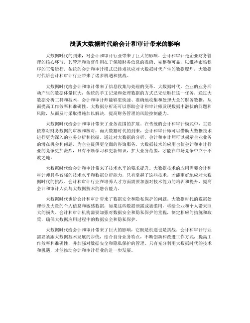 浅谈大数据时代给会计和审计带来的影响