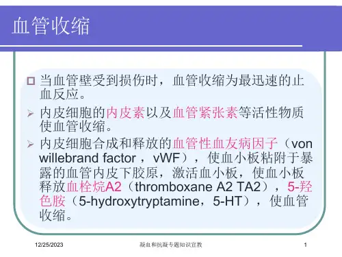 凝血和抗凝专题知识宣教培训课件
