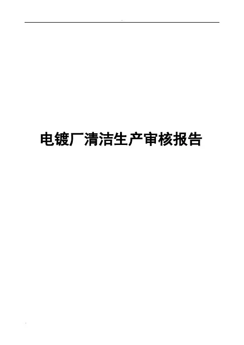 电镀厂清洁生产审核报告