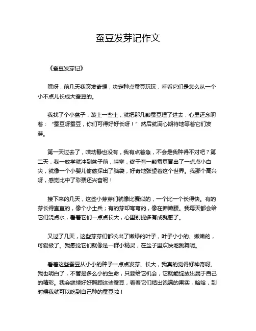 蚕豆发芽记作文