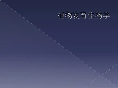 植物发育生物学