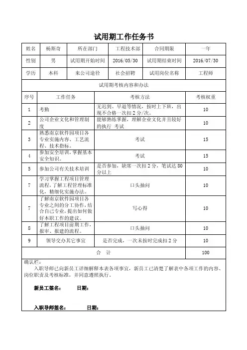 试用期工作任务书（杨斯奇）