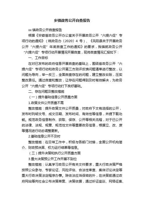 乡镇政务公开自查报告