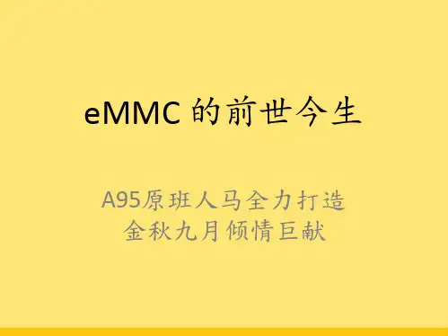eMMC的前世今生解读